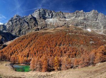 Tour Zu Fuß Valtournenche - Itinerario 17 Breuil/Cervinia-Bec Pio Merlo - Photo