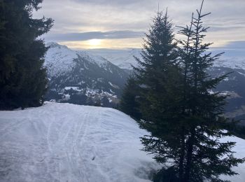 Excursión Ruta Villard-sur-Doron - Legette-NantRouge(20K 750D+) - Photo