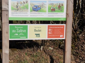 Excursión Bici de montaña Collonges-sous-Salève - Le beulet - Photo