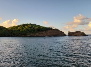 Tocht Stappen Sainte-Marie - raccourci de l'anse à zéro vers anse du four.  - Photo