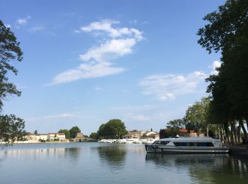 Tocht Stappen Castelnaudary - Castelnaudary - Photo