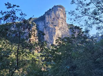 Excursión Senderismo Labastide-de-Virac - les gorges de l'Ardèche  - Photo