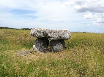 Randonnée Marche Plomodiern - Autour de Ste Marie du Ménez Hom - Photo