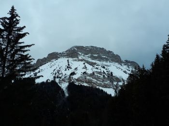 Trail Snowshoes Le Sappey-en-Chartreuse - Eimendras du dessus en circuit - Photo