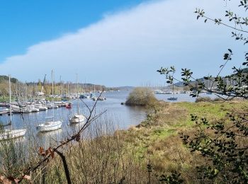 Excursión Senderismo Béganne - FOLLEUX 17 MARS 2022 CA - Photo