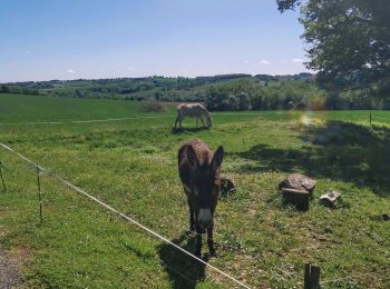 Trail On foot Saint-Sauvy - trail cote 12*30 - Photo