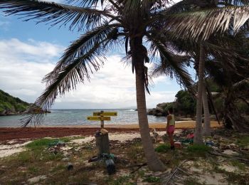 Randonnée Marche Saint-François - Anse à la Baie - Morne Caraïbe - Photo