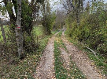 Randonnée Marche Saint-Geniez - Rando St Gêniez (04) - Photo