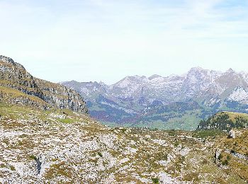 Tocht Te voet Grabs - Geologischer Rundweg Gamserrugg - Photo