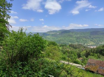 Trail Walking Munster - Munster - Photo