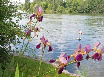 Trail Walking Savigny-le-Temple - savigny le Temple - Cesson - Photo