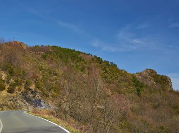 Percorso A piedi Borzonasca - Sentiero della Resistenza - Photo