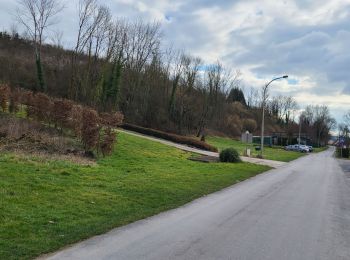 Randonnée Marche Brasles - Brasles ADR - Photo