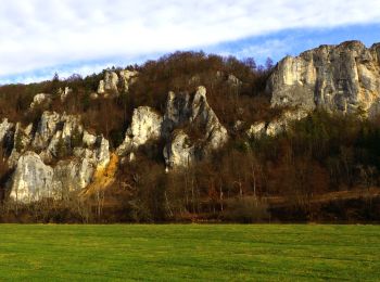 Excursión A pie Gomadingen - DonauFelsenLäufe: Donaufelsengarten - Photo