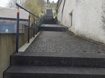 Percorso Marcia Léglise - Marche ADEPS 10KM600 à Leglise. - Photo