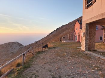 Randonnée A pied Ferrara di Monte Baldo - Sentiero Agostino Goiran - Photo