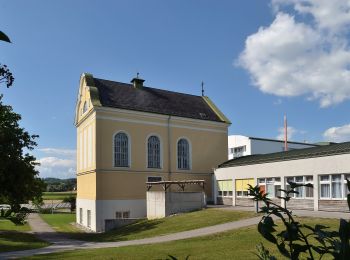 Tocht Te voet Gemeinde Kirchstetten - Totzenbach - Clementinum - Photo