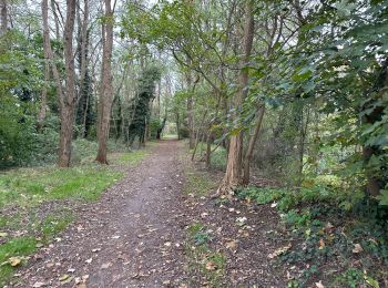 Trail Walking Duffel - Fort van Duffel 17,4 km - Photo