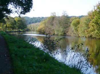 Excursión Bici eléctrica Pluméliau-Bieuzy - Boucle Plumeliau, Remungol, St Thuriau, St Nicolas des Eaux - Photo