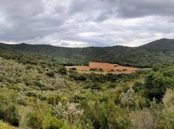 Trail Walking La Londe-les-Maures - boucle au pas du cerf - Photo