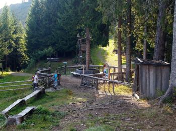 Tocht Te voet Kapfenberg - Romantischer Bründlweg - Photo