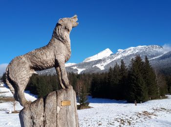 Excursión Raquetas de nieve Corrençon-en-Vercors - Cabane de la Goupette en circuit au départ de Corrençon-en-Vercors - Photo