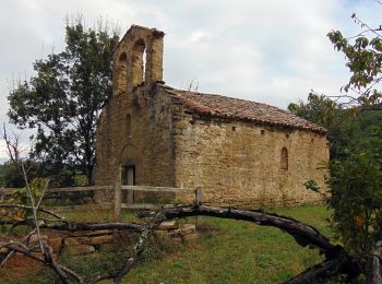 Trail On foot Sant Aniol de Finestres - Finestres-Sant Aniol pel coll de Palomera - Photo