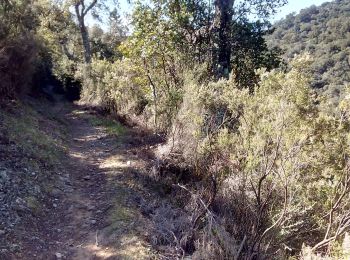 Tocht Stappen Peymeinade - Peygros  - Photo