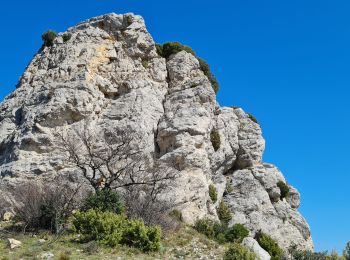 Excursión A pie Auriol - encanaux infernets cauvin - Photo