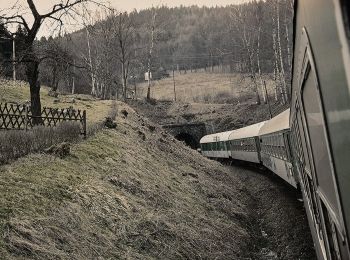 Percorso A piedi Křižany - [Ž] Křižanské sedlo - Pláně - U transformátoru - Photo