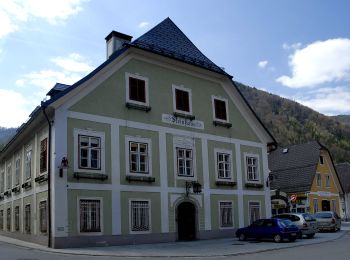 Percorso A piedi Gemeinde Hollenstein an der Ybbs - Höhenweg - Photo