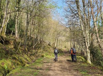 Tocht Stappen Sarrancolin - plo de Berdaoulou - Photo