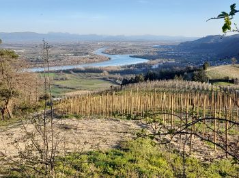 Trail Walking Tournon-sur-Rhône - Le Pas du géant  - Photo