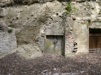 Tour Zu Fuß Raab - Niederhamer Weg - Photo