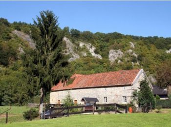 Randonnée Randonnée équestre Houyet - Houyet - A la découverte de la Lesse et des Aiguilles de Chaleux - Photo