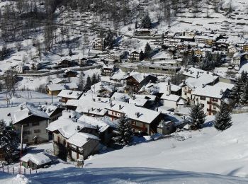 Excursión A pie Ayas - Alta Via n. 1 della Valle d'Aosta - Tappa 8 - Photo