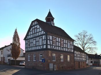 Tocht Te voet Gründau - Wanderwege um den Herzberg Nr.6 - Photo