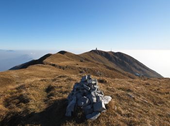 Trail On foot Zone - Malghe in Rete - Anello 3 - Tredici Piante - Photo