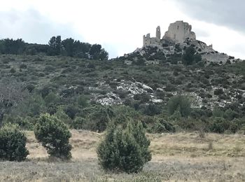 Excursión Senderismo Eyguières - Eyguières, Verdellet et Vaussière - Photo