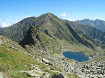 Tour Zu Fuß Unbekannt - Complexul Turistic Piscul Negru - Vf. Lespezi - Complexul Turistic Piscul Negru - Photo