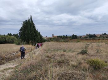 Trail Walking Laure-Minervois - laure Minervois capitelles  - Photo