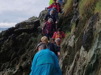 Trail Walking Plestin-les-Grèves - Locquirec 07-06-19 - Photo