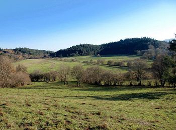 Excursión Senderismo Charbonnières-les-Varennes - Beaunit_Narse_JG_02 - Photo