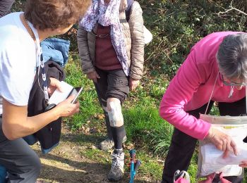 Trail Walking Hastingues - hastingues G4fait  - Photo