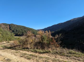 Excursión Senderismo Cornus - Les Mas Raynal Bois de Véran - Photo