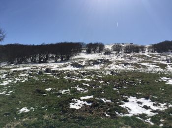 Randonnée Marche Le Chaffal - Col de la Bataille, Omblèze - Photo