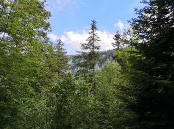 Randonnée Marche Villers-le-Lac - Saut du Doubs - Photo