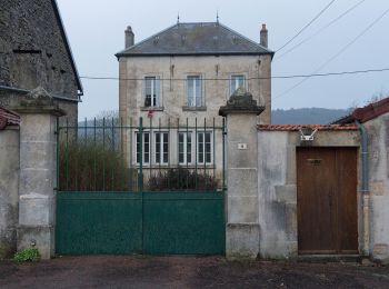 Trail On foot Boussey - Tour des Roches de Saffres - Photo