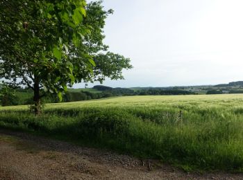 Trail Walking Neufchâteau - Massul - Lahérie - Photo