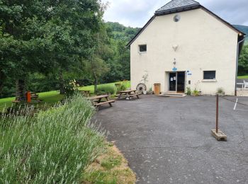 Excursión Senderismo Thiézac - Moulin de Nierveze La grange de Dévézou - Photo